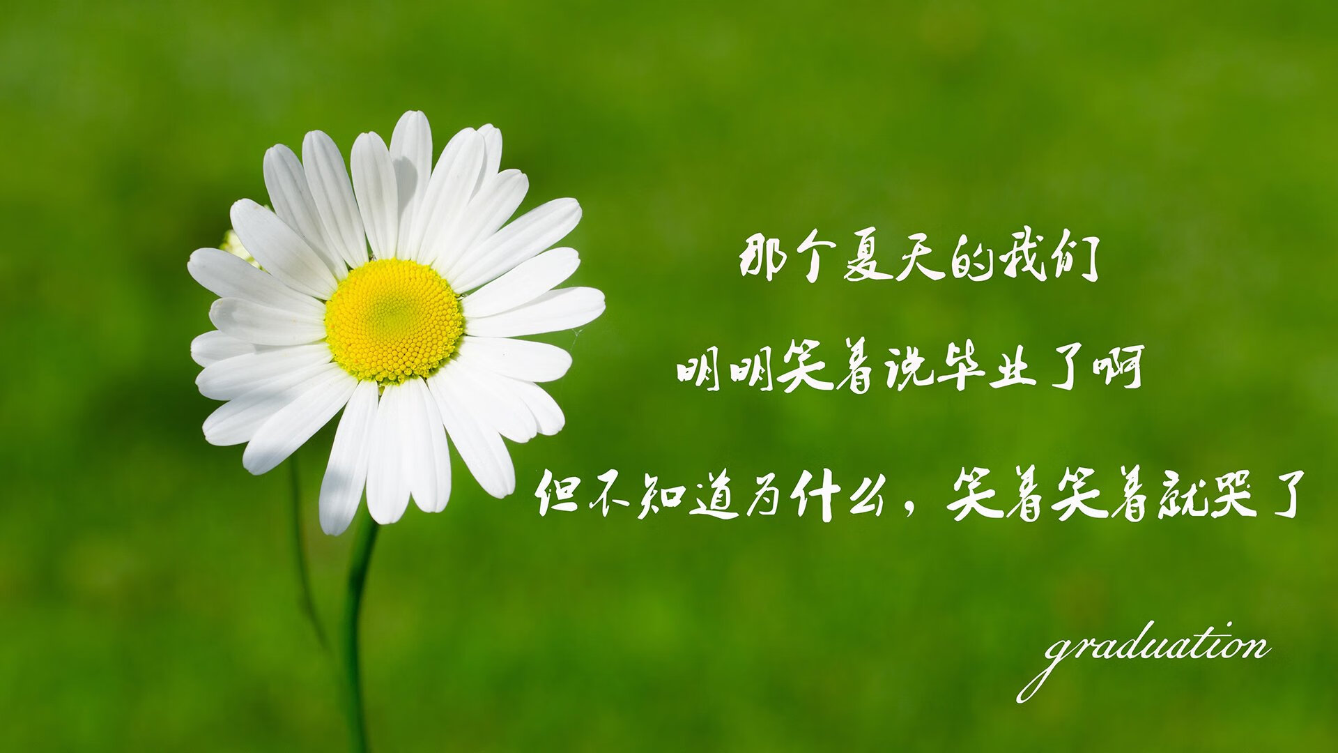 葡萄牙体育射手出色表现获教练点赞，葡萄牙队史第一射手
