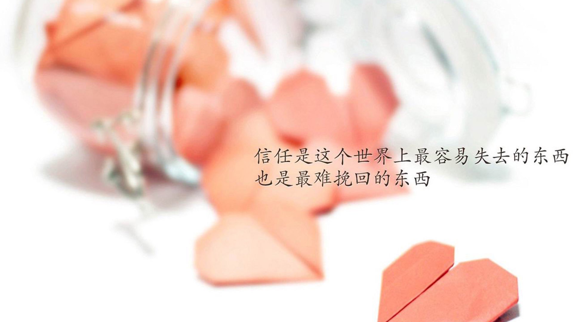 冠军队主场庆祝仪式盛大举行，球迷情绪高涨，球队主场冠军旗帜