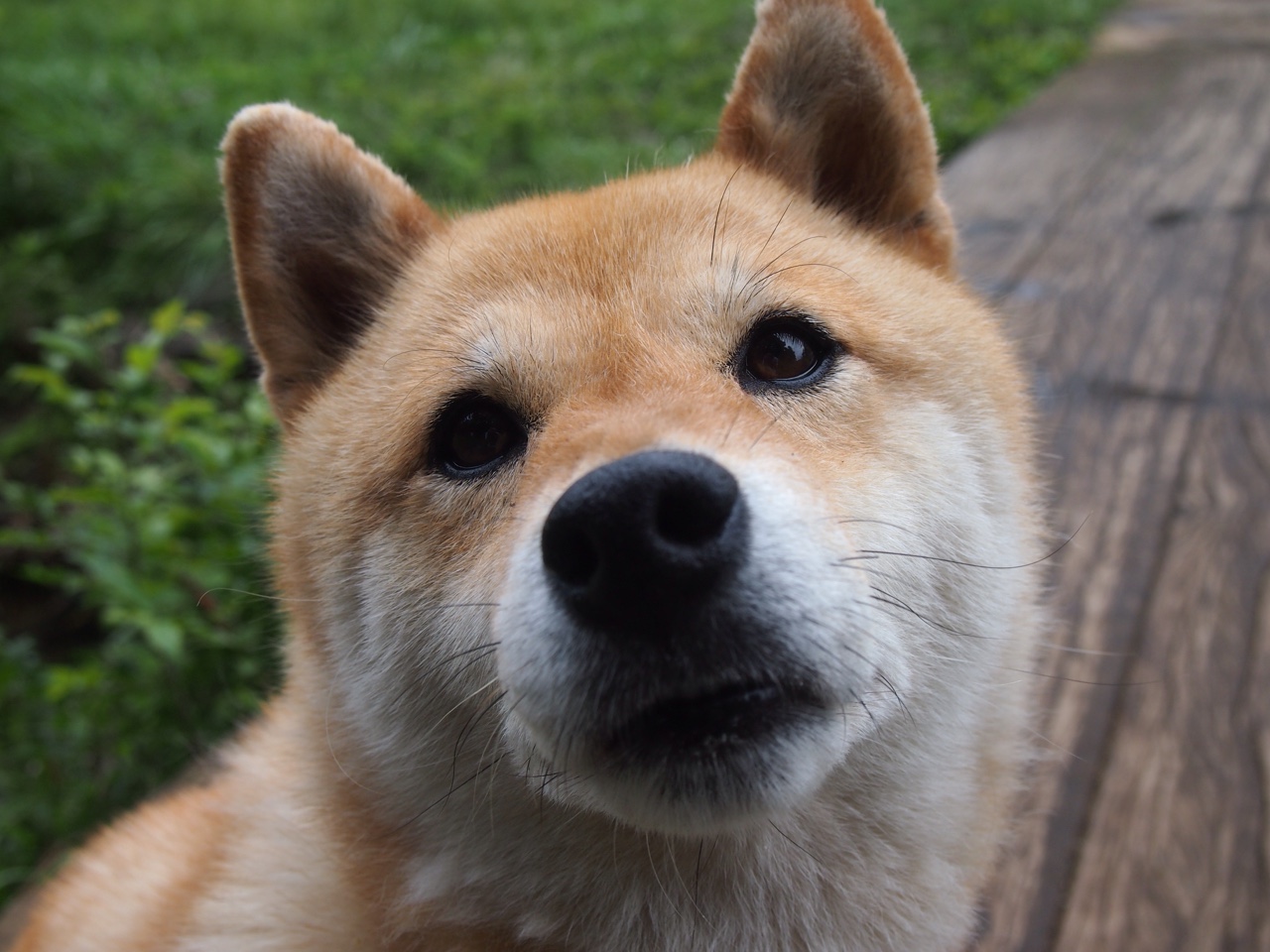 张伟丽称赞对手展现真正竞技精神，张伟丽集锦