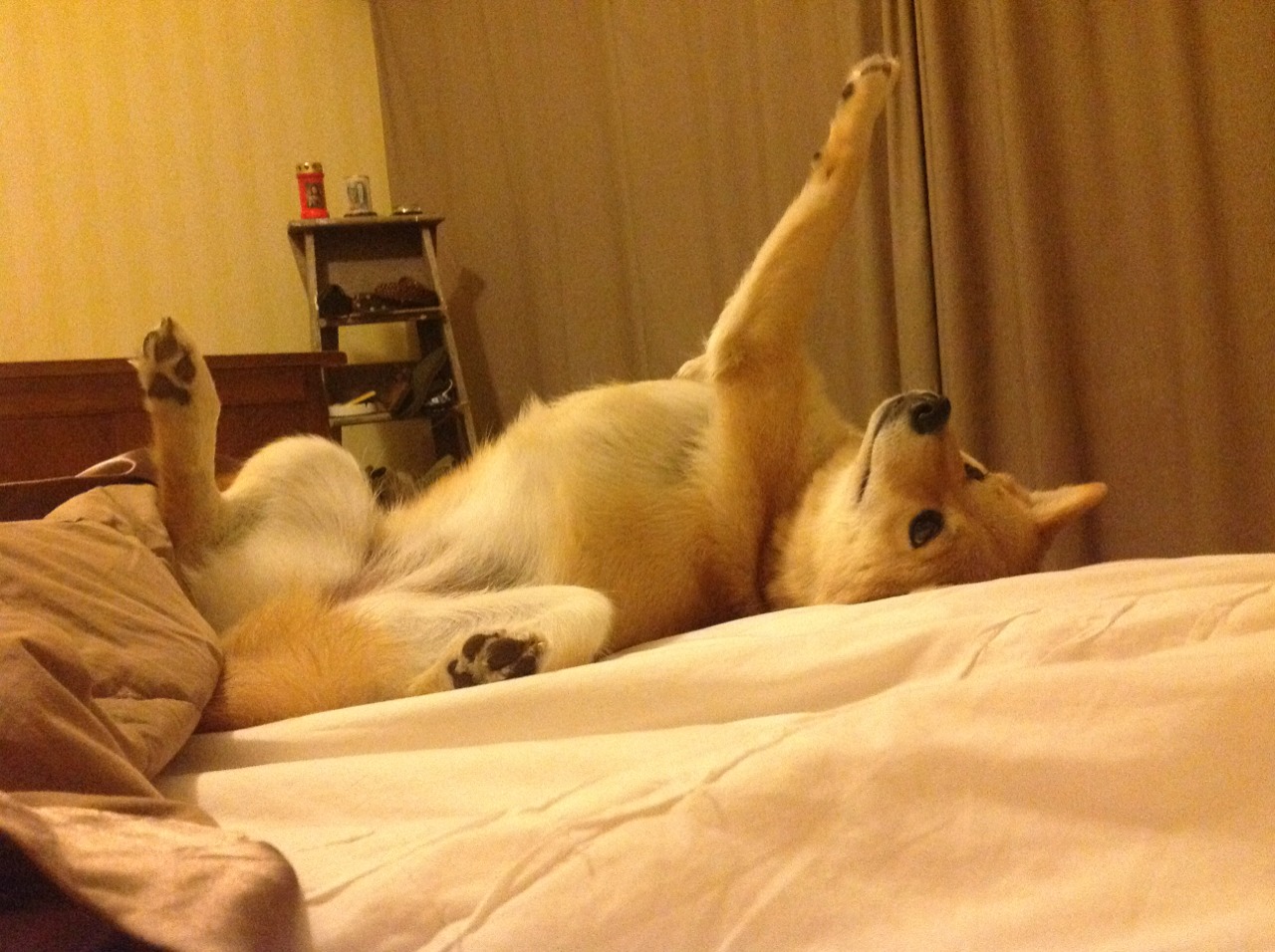 爱游戏官方-法甲战术大比拼：变化多端引爆全场，法甲动作大