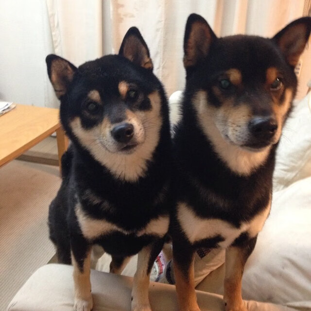 高校篮球重视运动损伤预防提高运动员保护意识,预防篮球运动损伤的意义