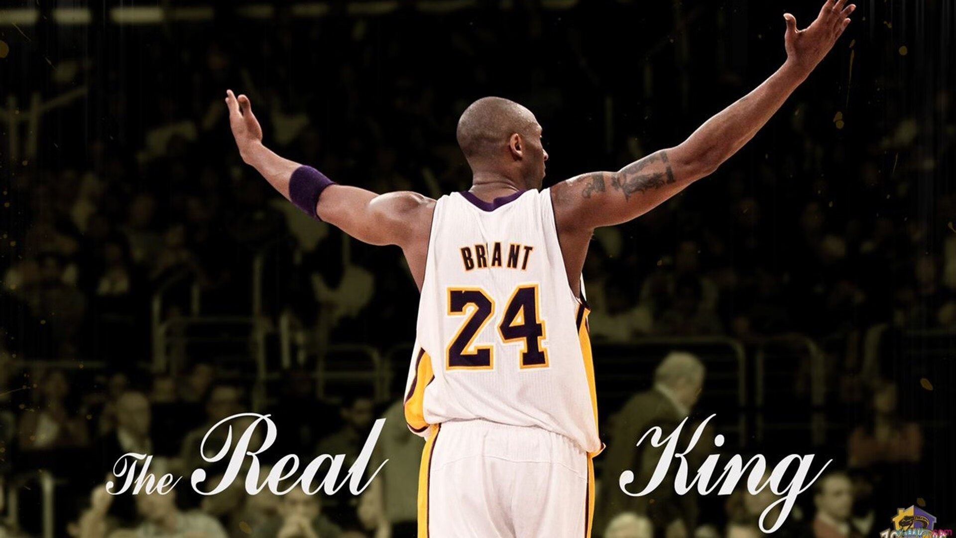 爱游戏体育在线app-NBA将举办“全球裁判公开赛”，来自20国裁判参战，2021年nba裁判