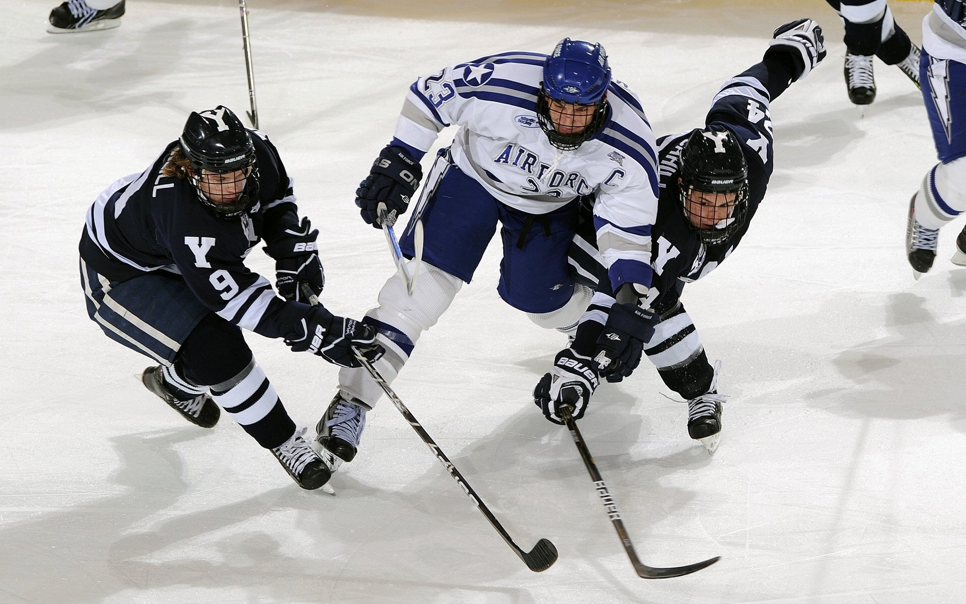 【大数据让比赛更科学】全方位数据指数助推赛场决策，大数据技能比赛都比什么